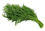 DILLSeeDs3.jpg